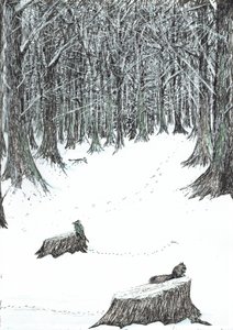 pagina5, Het Kasteel in het Bos van Findhorn, 2006