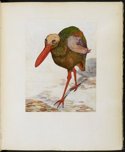 Grote Schedel-Hoofd Steen Trot, uit 