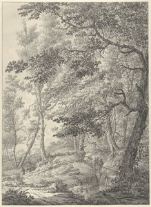 Boslandschap met een houten bruggetje en twee wandelaars