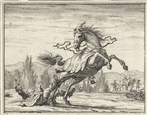 Man valt van een paard