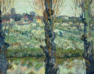 Uitzicht op Arles