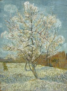 Bloeiende perzikboom (roze)