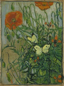 Vlinders en klaprozen door Vincent van Gogh