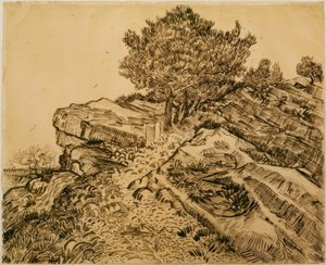 De rots van Montmajour met pijnbomen door Vincent van Gogh