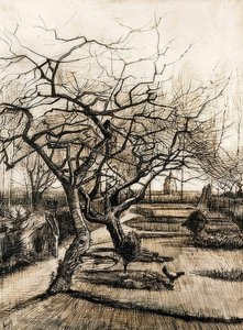 De tuin van de pastorie in Nuenen