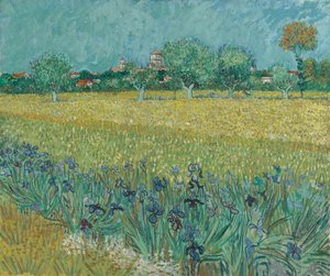 Veld met Bloemen bij Arles