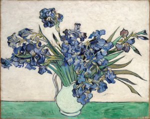 Iris