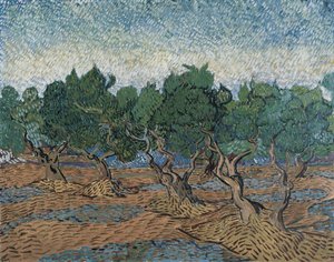 Olijfboomgaard door Vincent van Gogh