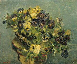 Mand met viooltjes