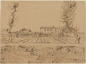  door Vincent van Gogh