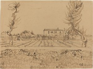 Ploeger in de Velden bij Arles, 1888