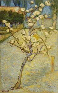  door Vincent van Gogh