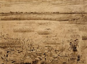 Moeraslandschap met waterlelies door Vincent van Gogh