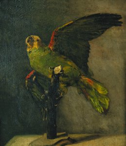 De groene papegaai; Le Perroquet Vert, 1885 door Vincent van Gogh