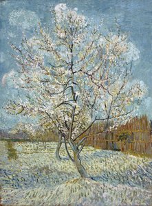 De roze perzikboom