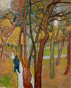  door Vincent van Gogh