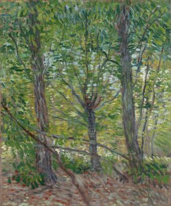  door Vincent van Gogh