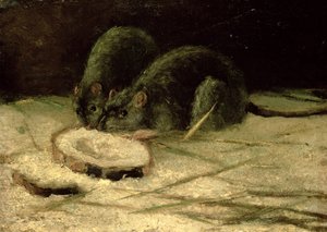 Twee ratten, ca. 1884 door Vincent van Gogh