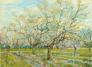 De witte boomgaard