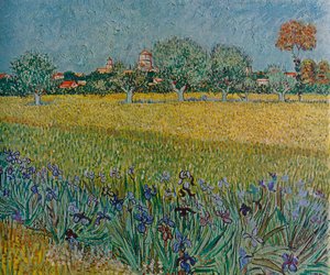 Uitzicht op Ales met bloeiende irissen, 1888 door Vincent van Gogh