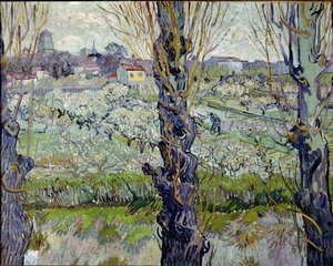 Zicht op Arles