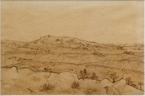Uitzicht op de Crau door Vincent van Gogh