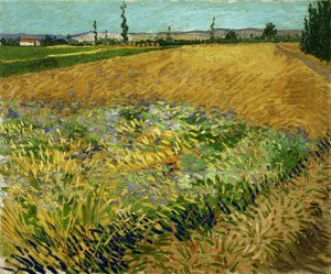 Tarweveld door Vincent van Gogh