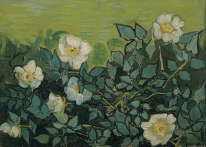 Wilde rozen door Vincent van Gogh