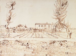 Werk op de Velden in Arles
