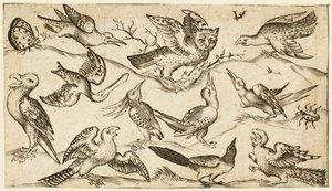 Elf vogels en twee insecten op minimale grond met uil met uitgespreide vleugels