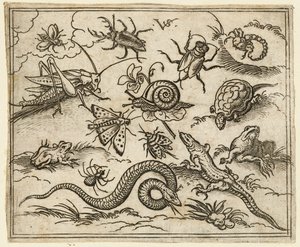 Groep insecten en reptielen op een vlakke ondergrond met rotsen, inclusief een leguaan, een hagedis, 1557 door Virgil Solis
