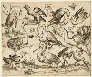 Struisvogel aan de linkerkant met negen andere vogels, waaronder een reiger en een pelikaan