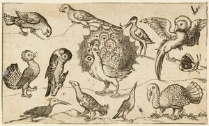Pauw in het midden omringd door negen andere vogels, waaronder een kalkoen, en een vlinder, 1572