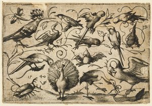 Tien vogels op kleine loofranken met een ooievaar die een rank om het been van een pelikaan bindt..., 1540 door Virgil Solis