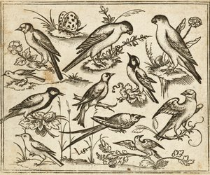 Elf vogels zittend op bloeiende takken en kleine takjes met een vlinder