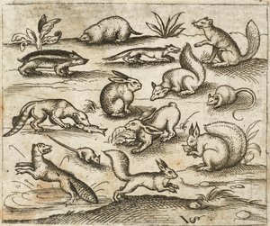 Groep kleine bosdieren die rond een vijver eten en rennen, waaronder muizen, een konijn, een eekhoorn, een wasbeer, een bosmarmot, een fret, een marter en een das door Virgilius the elder (after) Solis