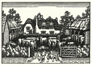 Illustratie voor Tess Of The D