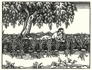 Illustratie voor Tess Of The D’Urbervilles door Thomas Hardy door Vivien Gribble
