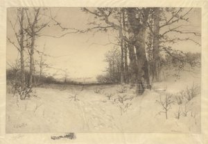 Midden in de Winter door W.C. Bauer