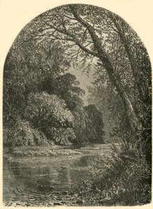 Moss Islands, in de Juniata, 1874 door W.H. Morse
