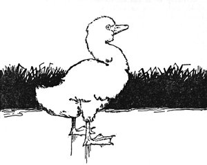 Hij kwam op een brede heide, ca. 1930