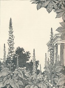 Illustratie bij Een Midzomernachtsdroom, 1914, 1925 door William Heath Robinson
