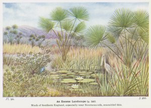 Een Eoceen Landschap door W. J. Stokoe