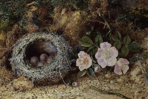 Vogelnest en hondsrozen door W. M. Arundale