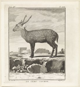 Hert door W. Tringham