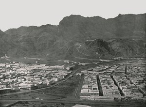 Algemeen overzicht van de kamelenmarkt, Aden, 1895 door W and S Ltd