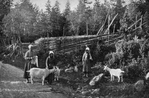 Geitenhouderij in Dalarna, Zweden, 1908-1909 door Wald Zachrisson
