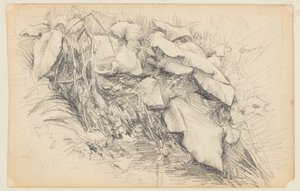 Studie van gras en planten