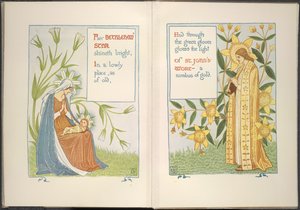 Ster van Bethlehem en Sint-Janskruid