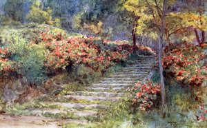 Azalea